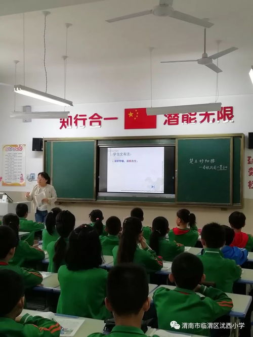 沋西小学迎检记 规范管理与特色发展的生动实践